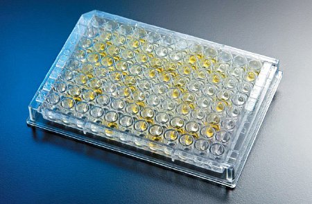 Picture of Test Kit Premier Platinum HpSA® Plus Infectious Disease Immunoassay H. Pylori Stool Sample 96 Tests601396