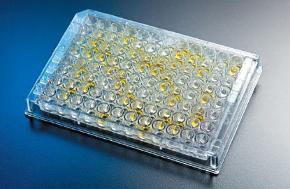 Picture of Test Kit Premier Platinum HpSA® Plus Infectious Disease Immunoassay H. Pylori Stool Sample 96 Tests601396