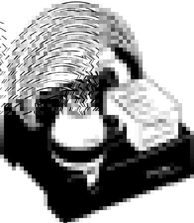 Picture of Eartips For 29350 Welch Allyn Ear Wash System29360