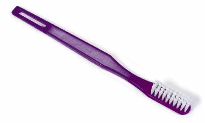 Picture of Toothbrush DawnMist® Translucent Purple Adult SoftTB40