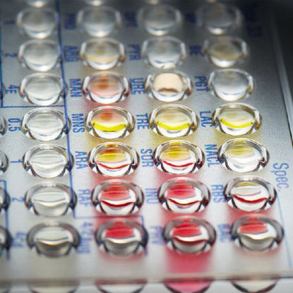 Picture of Positive MIC 29 Panel Amoxicillin/K Clavulanate, Ampicillin, Ampicillin/Sulbactam, Cefazolin, Cefoxitin Screen, Ceftriaxone, Chloramphenicol, Ciprofloxacin, Clindamycin, Daptomycin, Erythromycin, Gentamicin, Gentamicin Synergy Screen, Imipenem, Inducible Clindamycin Test, Levofloxacin, Linezolid, Meropenem, Moxifloxacin, Nitrofurantoin , Oxacillin, Penicillin, Rifampin, Streptomycin Synergy Screen, Synercid, Tetracycline, Tigecycline, Trimethoprim/Sulfamethoxazole, VancomycinB1017-212
