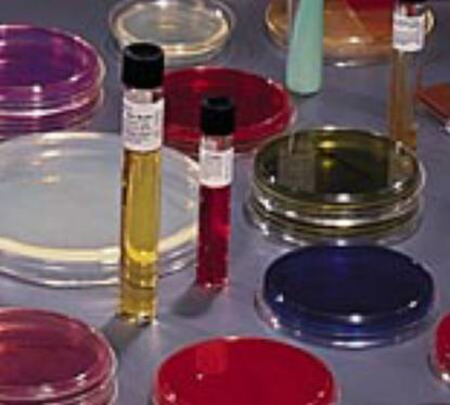 Picture of Prepared Media BD BBL™ Soy Agar (Blood Agar Base) Beige Deeps / Pour Tube Format221082