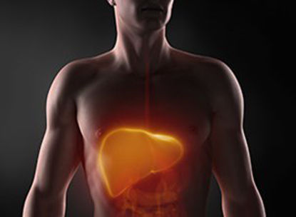 Picture of Reagent Pointe General Chemistry Alkaline Phosphatase For Mindray™ BS-200 Analyzer R1: 2 X 40 mL, R2: 2 X 10 mL12-A7516-100