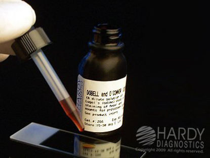 Picture of STAIN, IODINE DOBELL OCONNOR PARASITOLOGY F/OVA 15ML D/SZ66