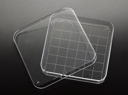 Picture of Petri Dish PolystyreneD210-16