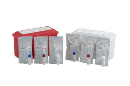 Picture of Molecular Diagnostic Control Panel Helix Elite™ Gram-Negative Blood Culture Positive Level8181