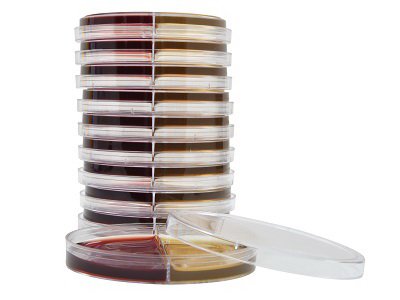 Picture of Prepared Media Bacteroides Bile Esculin / Laked Blood Kanamycin Vancomycin Biplate Bi-Plate FormatJ102