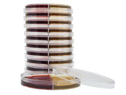 Picture of Prepared Media Bacteroides Bile Esculin / Laked Blood Kanamycin Vancomycin Biplate Bi-Plate FormatJ102