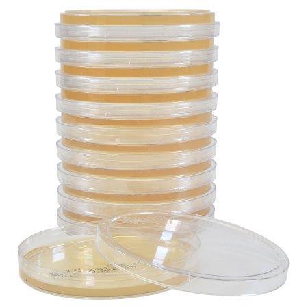 Picture of Prepared Media Tryptic Soy Agar (TSA) Deep Fill Plate FormatW64