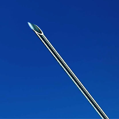 Picture of Spinal Needle Quincke Style 23 Gauge 6 Inch183137