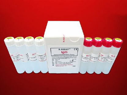 Picture of Reagent Kit K-ASSAY® Immunochemistry / Specific Protein Test Immunoglobulin G (IgG) For Chemistry Analyzers Capable of Accurate Readings at 700 nm 320 Tests R1: 4 X 20 mL, R2: 4 X 20 mLKAI-014