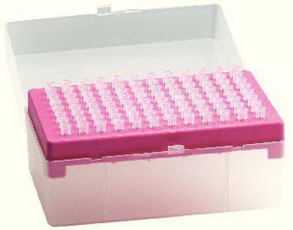 Picture of Pipette Tip Finntip™ 1,000 to 5,000 µL NonSterile53516-174