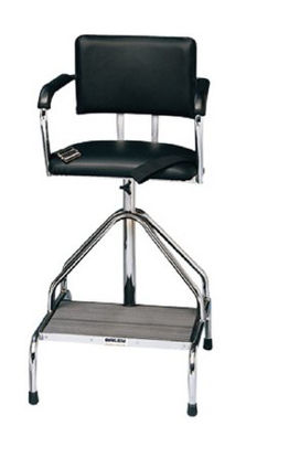 Picture of Whirlpool Chair For Whirlpool Hydrotherapy42-1051