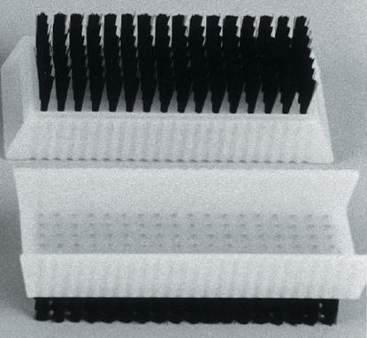 Picture of Scrub Brush Nylon Bristles White750224