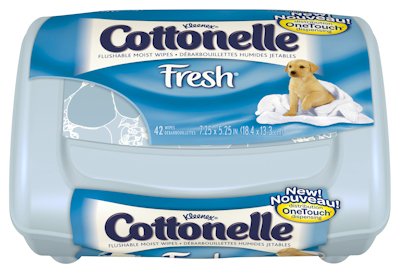 Picture of Flushable Personal Wipe Cottonelle® Fresh Care Tub Water / Sodium Chloride / Sodium Benzoate Scented 42 Count36734