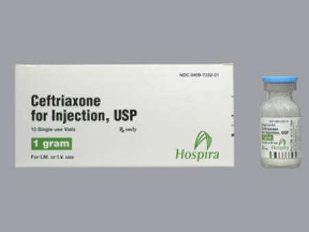 Picture of Ceftriaxone Sodium 1 Gram / 15 mL Injection Single Dose Vial 15 mL00409733201