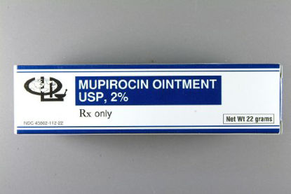 Picture of Mupirocin 2% Ointment Tube 22 Gram45802011222