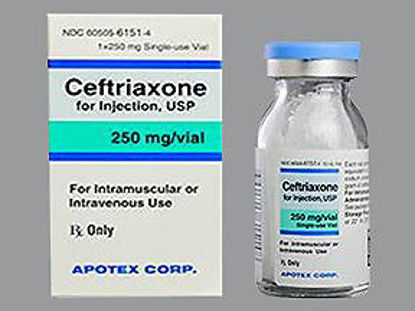 Picture of Ceftriaxone Sodium 250 mg Injection Single Use Vial 10 mL60505615104