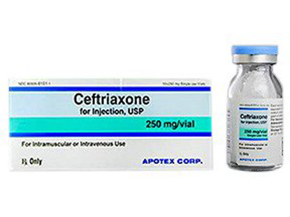 Picture of CEFTRIAXONE, SDV 250MG/10ML 10ML (10/CT)60505615101