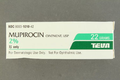 Picture of Mupirocin 2% Ointment Tube 22 Gram00093101042