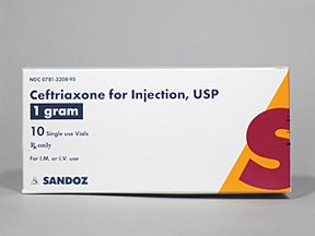 Picture of Ceftriaxone Sodium 1 Gram Injection Single Dose Vial 10 Vials00781320895