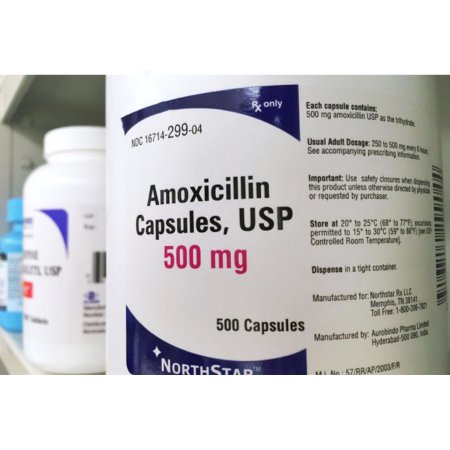 Picture of Amoxicillin 500 mg Capsule Bottle 500 Capsules16714029904