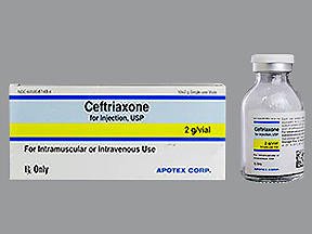 Picture of Ceftriaxone Sodium 2 Gram Injection Single Use Vial 20 mL60505614904