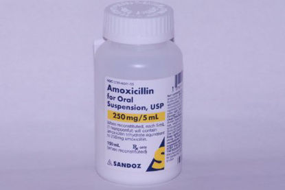 Picture of Amoxicillin 250 mg / 5 mL Suspension Bottle 150 mL00781604155