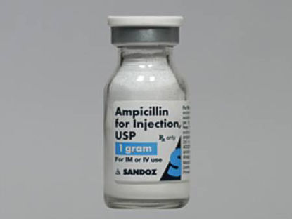 Picture of Ampicillin Sodium 1 Gram / 15 mL Injection Vial 15 mL00781340495