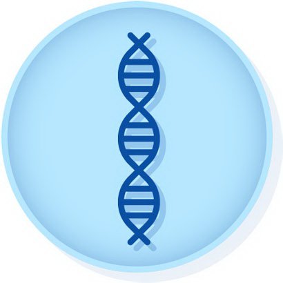 Picture of Molecular Diagnostic Control Entamoeba Histolytica Synthetic DNAHE0006S