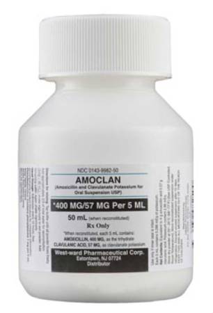 Picture of Amoxicillin / Potassium Clavulanate 400 mg - 57 mg / 5 mL Suspension Bottle 50 mL00143998250
