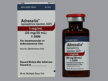 Picture of Alpha and Beta Adrenergic Agonist Epinephrine 1 mg / mL (1:1000) Injection Multiple Dose Vial 30 mL42023016801
