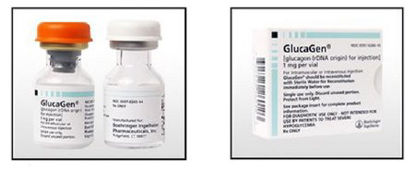 Picture of GlucaGen® Diagnostic Kit Glucagon, Human Recombinant 1 mg / mL Injection Vial 1 mL00597026010