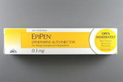 Picture of EpiPen® Alpha and Beta Adrenergic Agonist Epinephrine 0.3 mg (1:1000) Injection Auto-Injector 0.3 mL49502050002