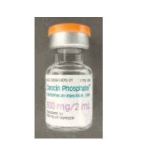 Picture of Cleocin Phosphate® Clindamycin Phosphate 150 mg / mL Injection Vial 2 mL00009087026