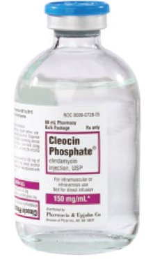 Picture of Cleocin Phosphate® Clindamycin Phosphate 150 mg / mL Injection Vial 4 mL00009077526