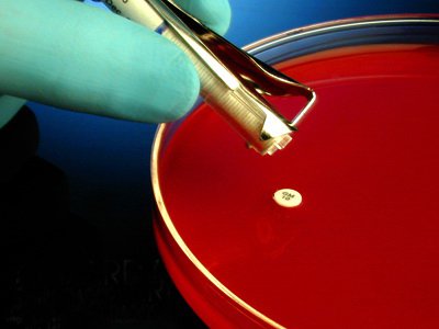 Picture of Antimicrobial Susceptibility Testing Disc HardyDisks™ Cefazolin 30 µgZ8145