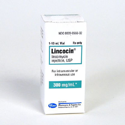 Picture of Lincocin® Lincomycin HCl 300 mg / mL Injection Vial 10 mL00009055502