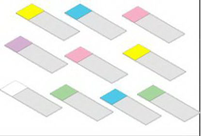 Picture of Microscope Slide SHURMark® Routine Color 1 X 3 Inch Pink EndSM-CCS-45P