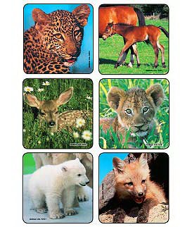 Picture of Kids Love Stickers® 90 per Unit Baby Animal Photos , Assorted Sticker2001P