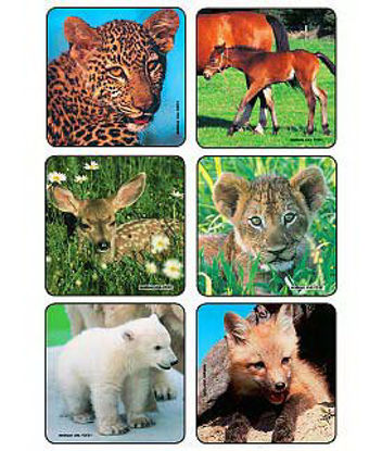 Picture of Kids Love Stickers® 90 per Unit Baby Animal Photos , Assorted Sticker2001P