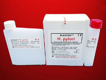 Picture of Reagent Kit K-ASSAY® Infectious Disease Immunoassay H. Pylori For Automated Clinical Chemistry Analyzers 300 Tests R1 Buffer: 1 X 60 mL, R2 Antibody: 1 X 12 mLKAI-240