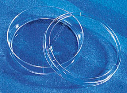 Picture of Tissue Culture Dish Corning® Polystyrene25382-381