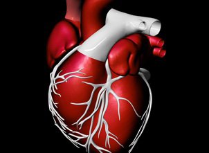 Picture of Reagent Cardiac / Lipids / General Chemistry Lipoprotein (a) For Mindray™ BS-480 Analyzer 4 X 40 mL14-L7597-216