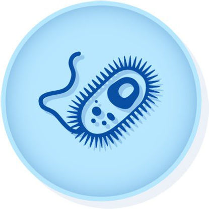 Picture of CONTROL, E COLI ATCC 35218 D/S0495E3-CRM