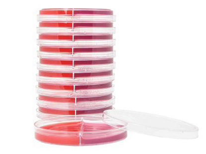 Picture of Prepared Media HardyCHROM™ BluEcoli™ Blood Agar / Chromogenic E. Coli Urine Bi-Plate FormatJ123