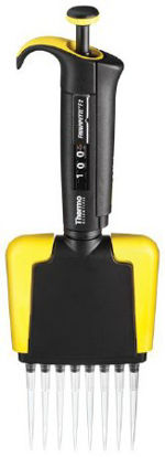 Picture of Finnpipette™ F2 Multichannel Pipette 30 to 300 µL4662030