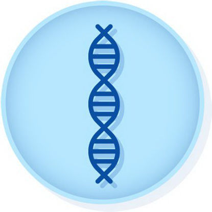Picture of Molecular Diagnostic Control Helix Elite™ Inactivated Influenza A / B and Respiratory Syncytial Virus (Inactivated)HE0044N