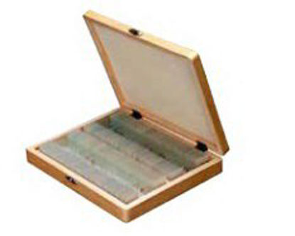 Picture of Slide Storage Box 1-1/3 X 6-3/4 X 8-3/4 Inch Wood 100 Slide CapacitySB-100-W