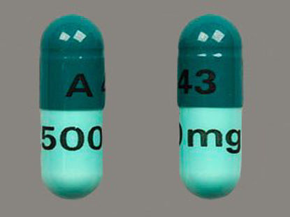 Picture of Cephalexin 500 mg Capsule Bottle 500 Capsules65862001905